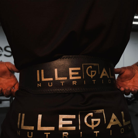 Premium Classic Weight Lifting Belt (Padded)